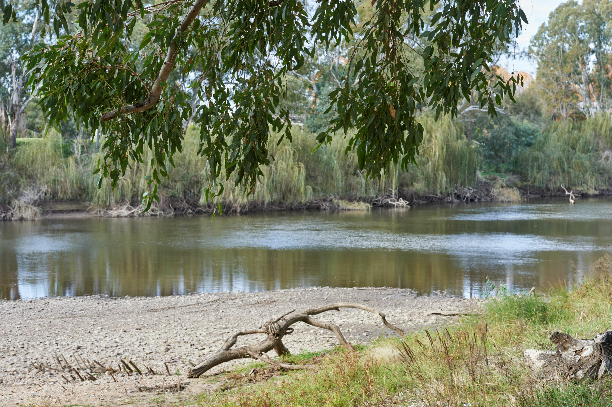 Gundagai Cabins & Tourist Park Zewnętrze zdjęcie